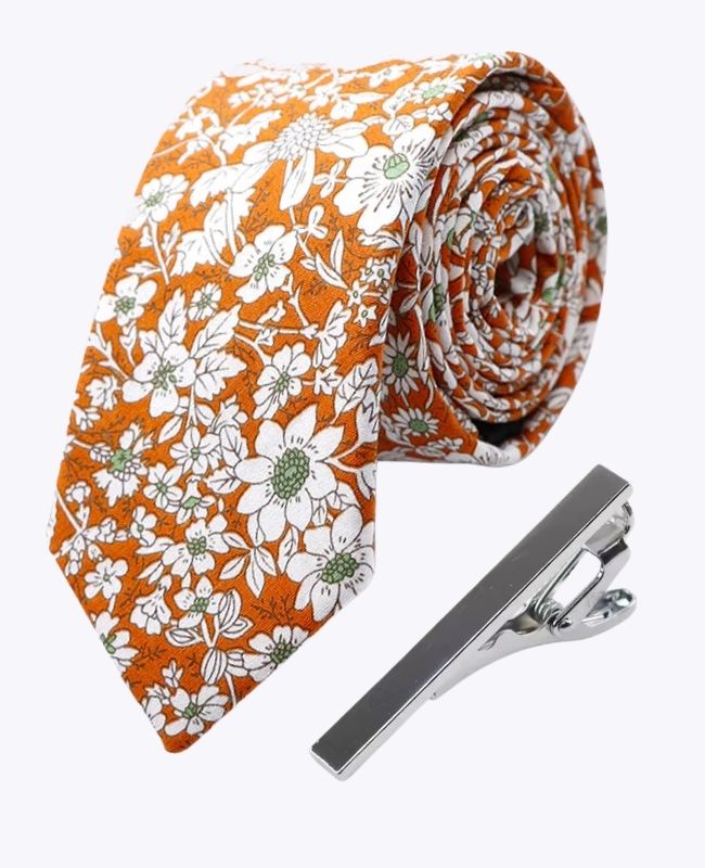 Slips + Slipsenål Liberty Orange Herre i Bomuld »Clovis«