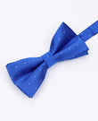 Noeud Papillon Bleu n°2 à Pois Homme en Polyester | Georges - Unipap's