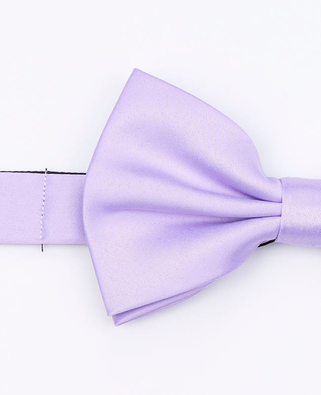Noeud Papillon Violet n°2 Homme en Polyester «Anatole»
