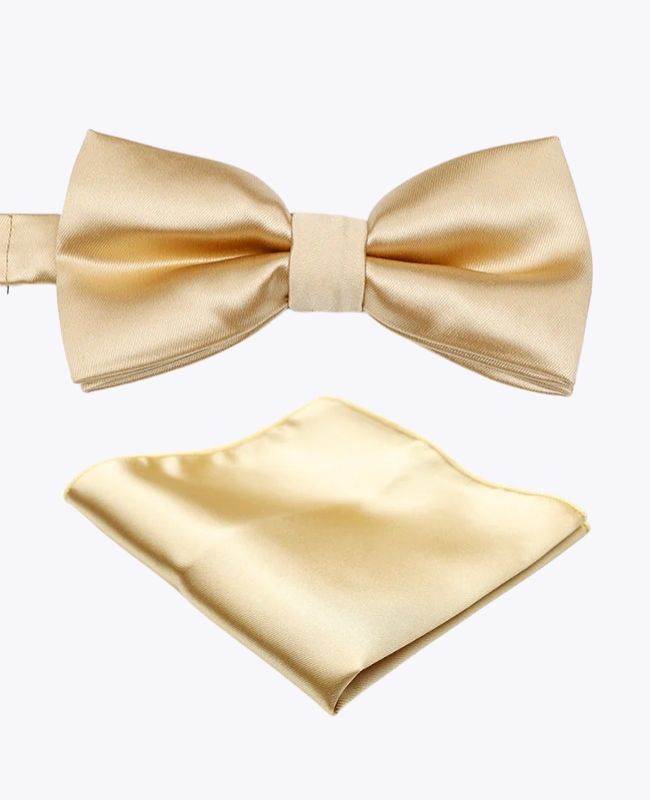 Noeud Papillon + Pochette de Costume Doré n°2 Homme en Polyester «Jules»