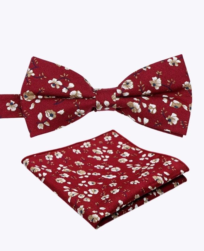 Slips + Lommetørklæde til Jakkesæt Liberty Rød nr. 1 Herre i Bomuld «Gaspard»