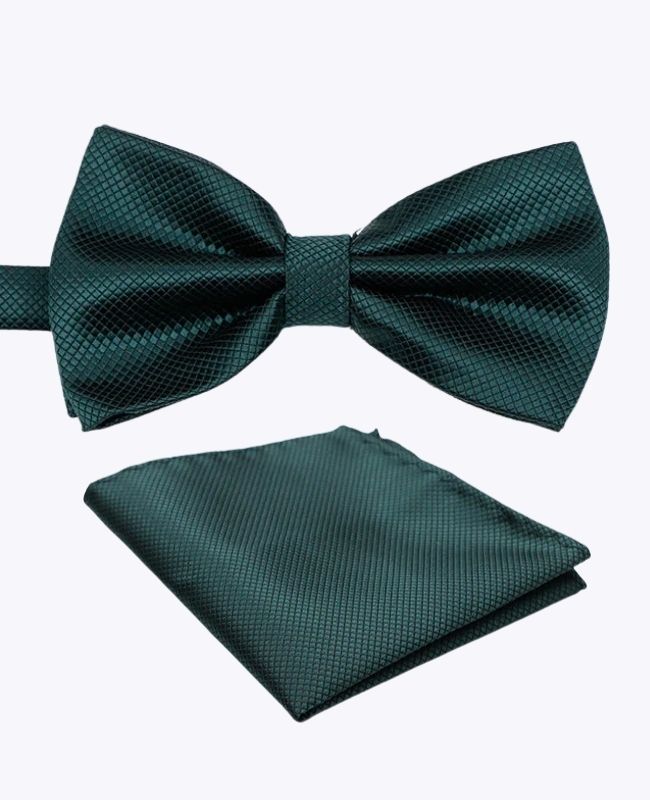 Noeud Papillon + Pochette de Costume Vert n°2 Homme en Polyester «Martin»
