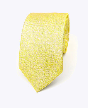 Slips med Guld Paljetter nr. 1 Herre i Polyester | Isidore - Unipap's