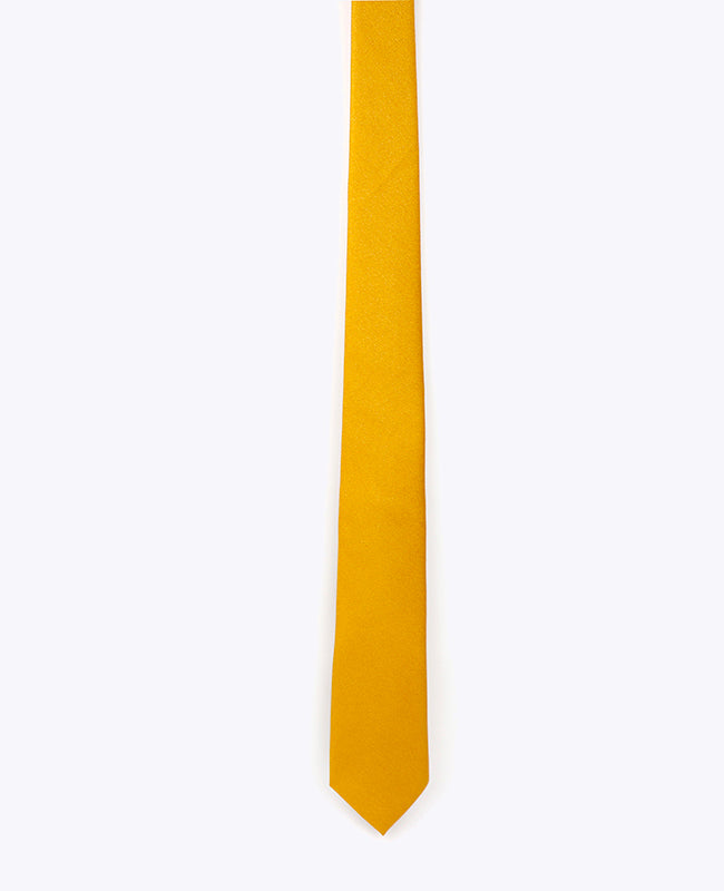 Slips med Guld Paillette nr. 3 Herre i Polyester | Armand - Unipap's