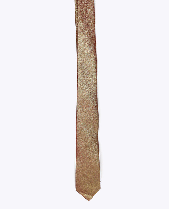 Slips med Pailletter Brun nr. 2 Herre i Polyester | Isidore - Unipap's
