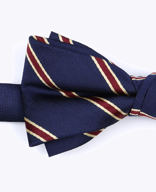 Butterfly Blå Stribet Herre i Polyester »Edmond«