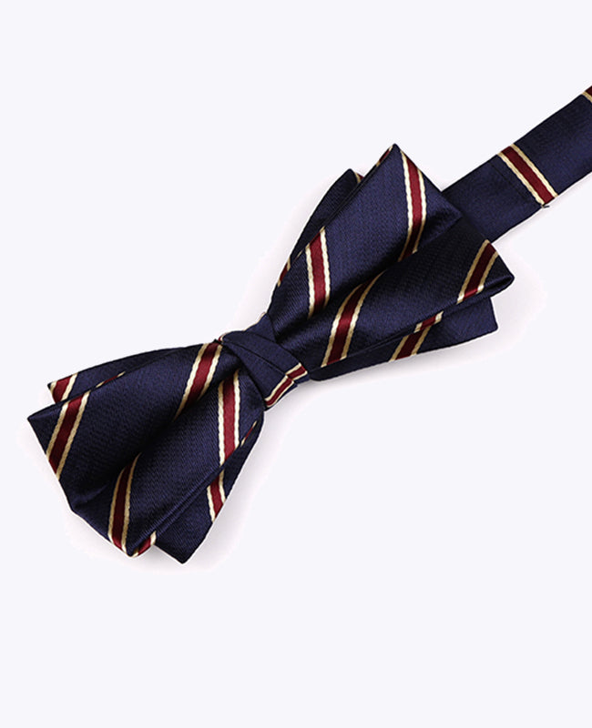 Butterfly Blå Stribet Herre i Polyester »Edmond«