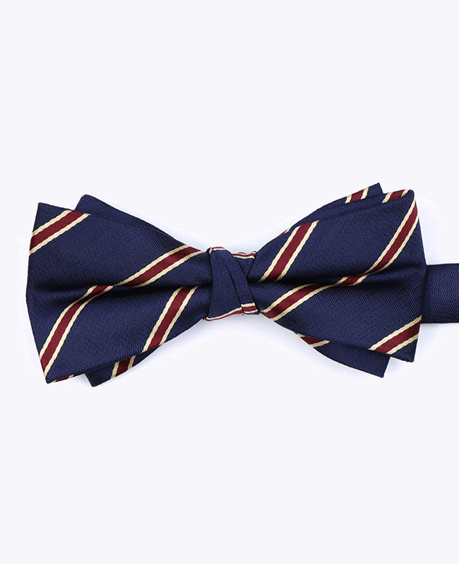 Butterfly Blå Stribet Herre i Polyester »Edmond«