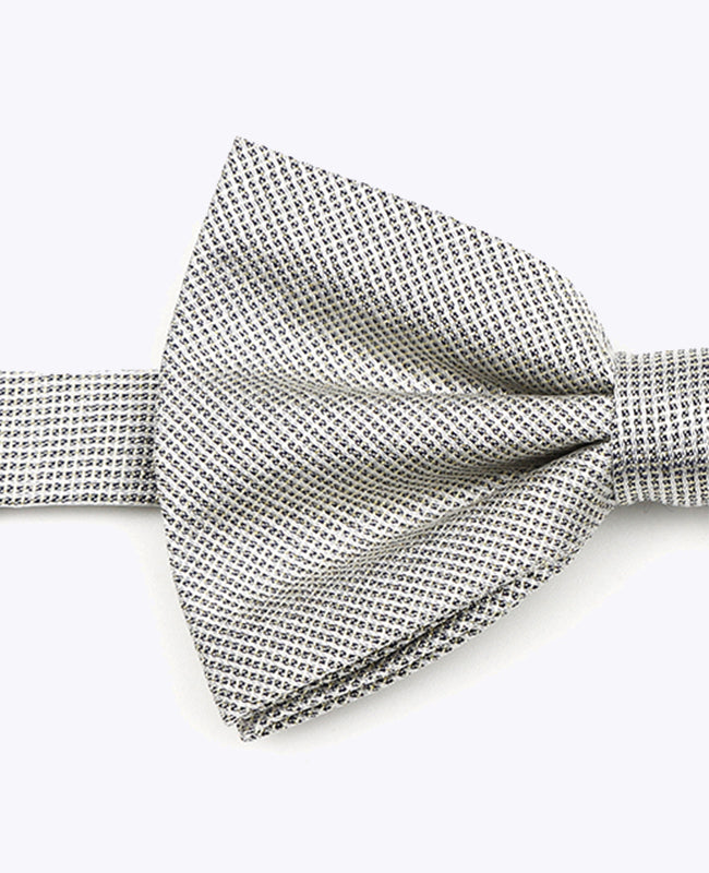 Butterfly med Pailletter Sølv nr. 1 Herre i Polyester | Léonard - Unipap's