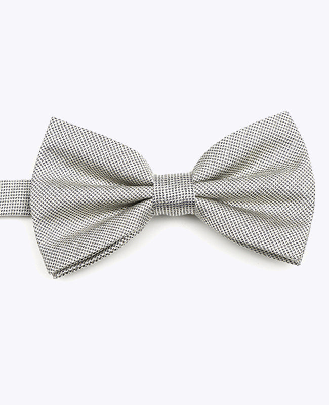 Butterfly med Pailletter Sølv nr. 1 Herre i Polyester | Léonard - Unipap's