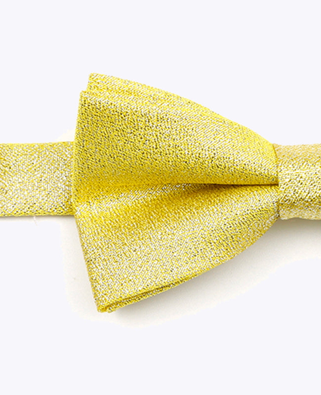 Butterfly med Guld Paljetter nr. 1 Børn i Polyester | Isidore - Unipap's