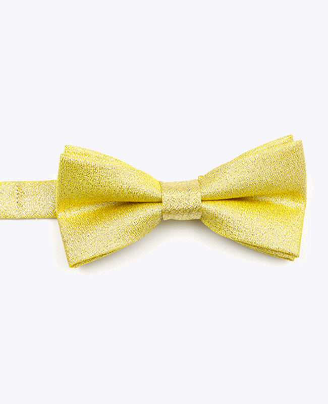 Butterfly med Guld Paillette nr. 1 Børn i Polyester | Isidore - Unipap's