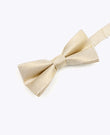 Butterfly med Pailletter Guld nr. 1 Børn i Polyester | Léonard - Unipap's
