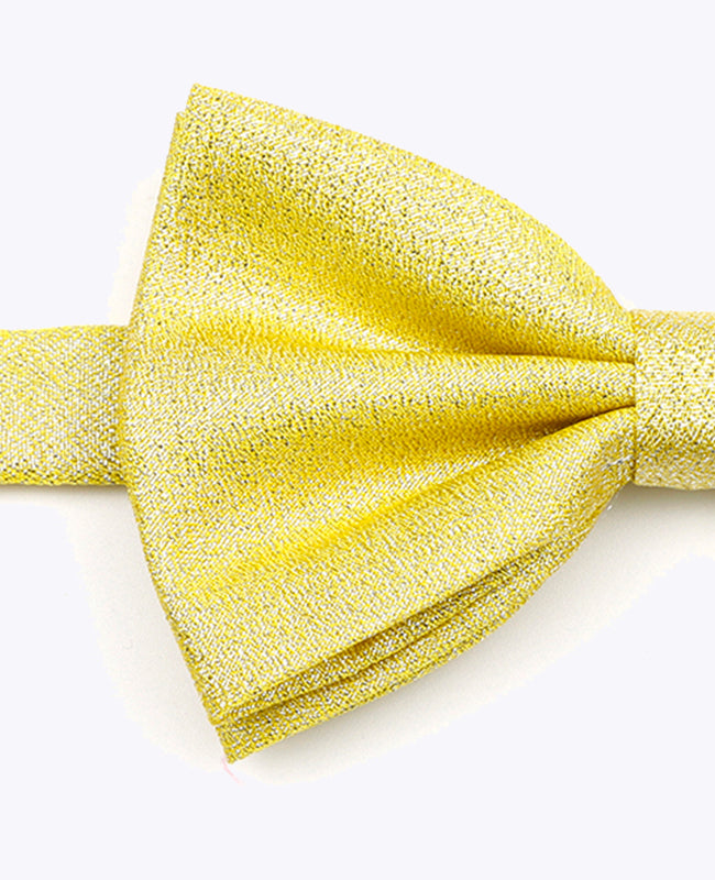 Butterfly med Guld Paljetter nr. 1 Herre i Polyester | Isidore - Unipap's