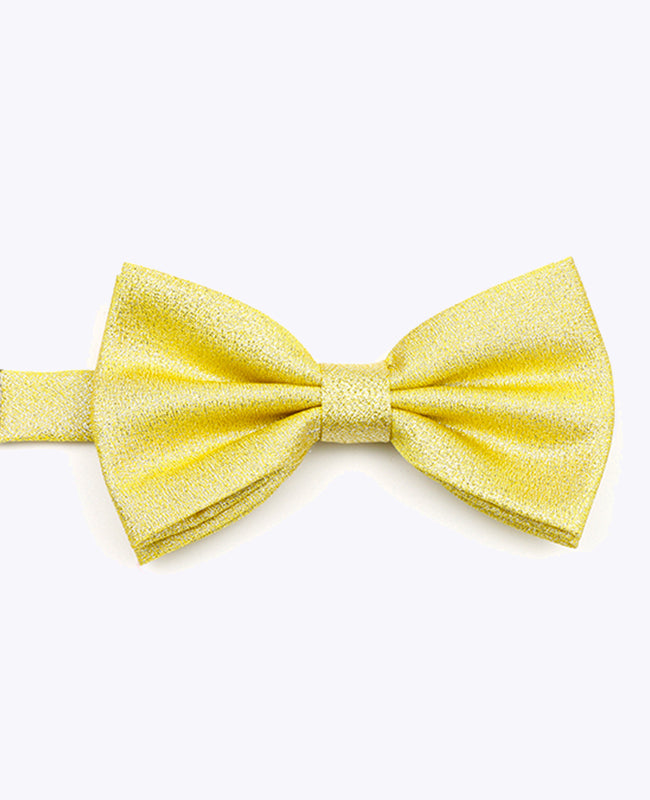 Butterfly med Guld Paljetter nr. 1 Herre i Polyester | Isidore - Unipap's