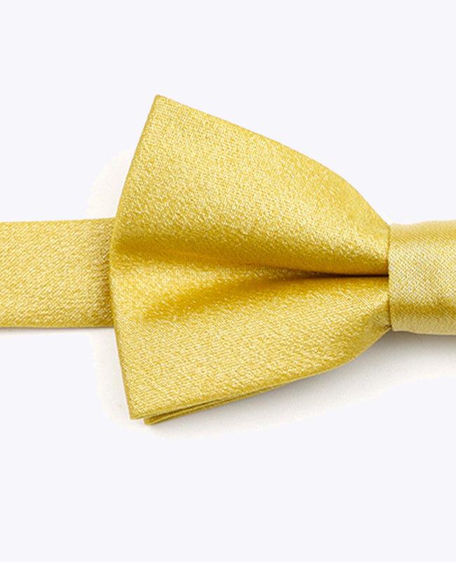 Noeud Papillon à Paillette Doré n°2 Enfant en Polyester | Armand - Unipap's