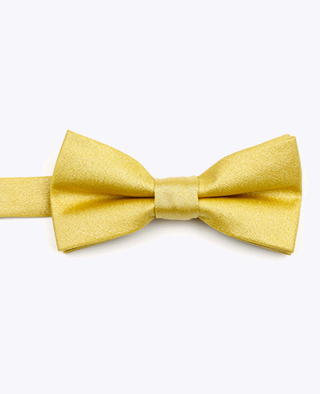 Butterfly med Guld Pailletter nr. 2 Børn i Polyester | Armand - Unipap's