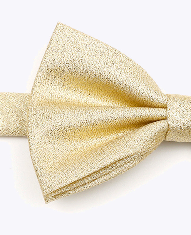 Noeud Papillon à Paillette Doré n°2 Homme en Polyester | Isidore - Unipap's