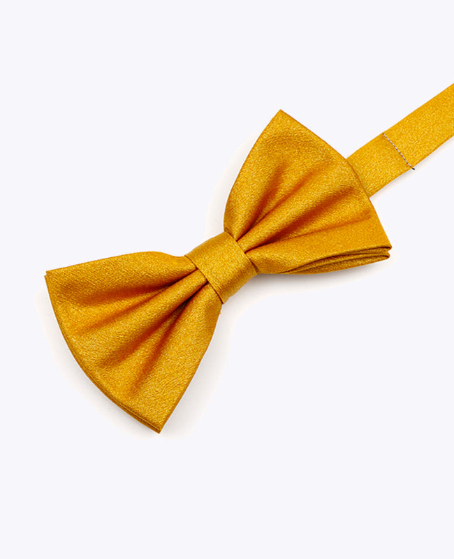 Butterfly med Guld Pailletter nr. 3 Herre i Polyester | Armand - Unipap's