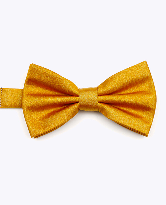 Butterfly med Guld Pailletter nr. 3 Herre i Polyester | Armand - Unipap's