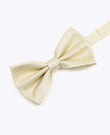 Butterfly med pailletter Guld nr. 3 Herre i Polyester | Isidore - Unipap's
