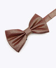 Butterfly med Pailletter Brun nr. 2 Herre i Polyester | Isidore - Unipap's