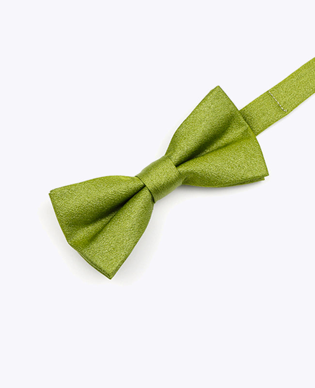 Butterfly med Pailletter Grøn nr. 1 Børn i Polyester | Armand - Unipap's