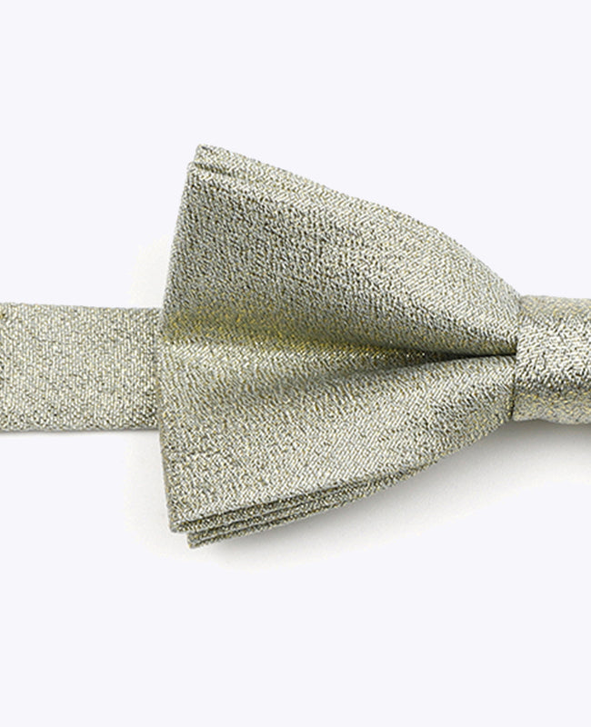 Butterfly med Pailletter Grøn nr. 1 Børn i Polyester | Isidore - Unipap's