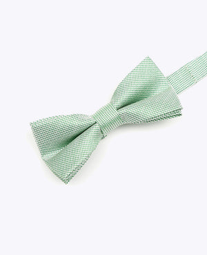 Butterfly med Pailletter Grøn nr. 1 Børn i Polyester | Léonard - Unipap's