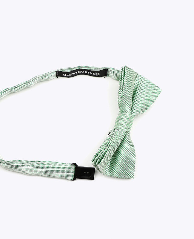 Butterfly med Pailletter Grøn nr. 1 Børn i Polyester | Léonard - Unipap's