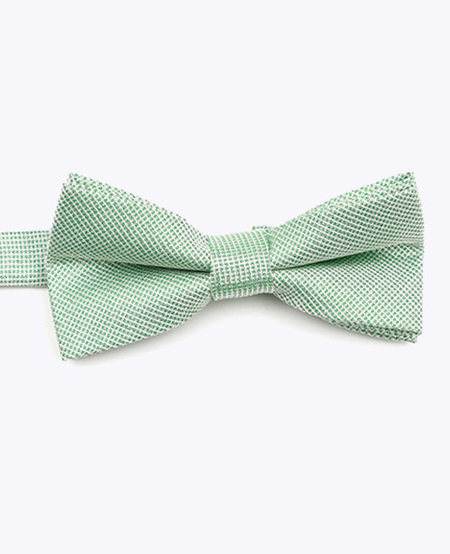 Butterfly med Pailletter Grøn nr. 1 Børn i Polyester | Léonard - Unipap's