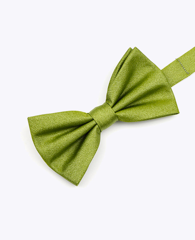 Butterfly med Grøn Paillette nr. 1 Herre i Polyester | Armand - Unipap's