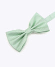 Butterfly med Pailletter Grøn nr. 1 Herre i Polyester | Léonard - Unipap's