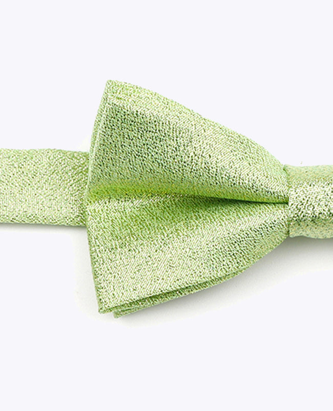 Butterfly med pailletter Grøn nr. 2 Børn i Polyester | Isidore - Unipap's