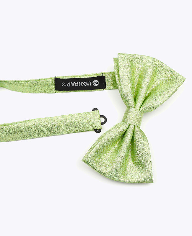 Butterfly med Pailletter Grøn nr. 2 Herre i Polyester | Isidore - Unipap's