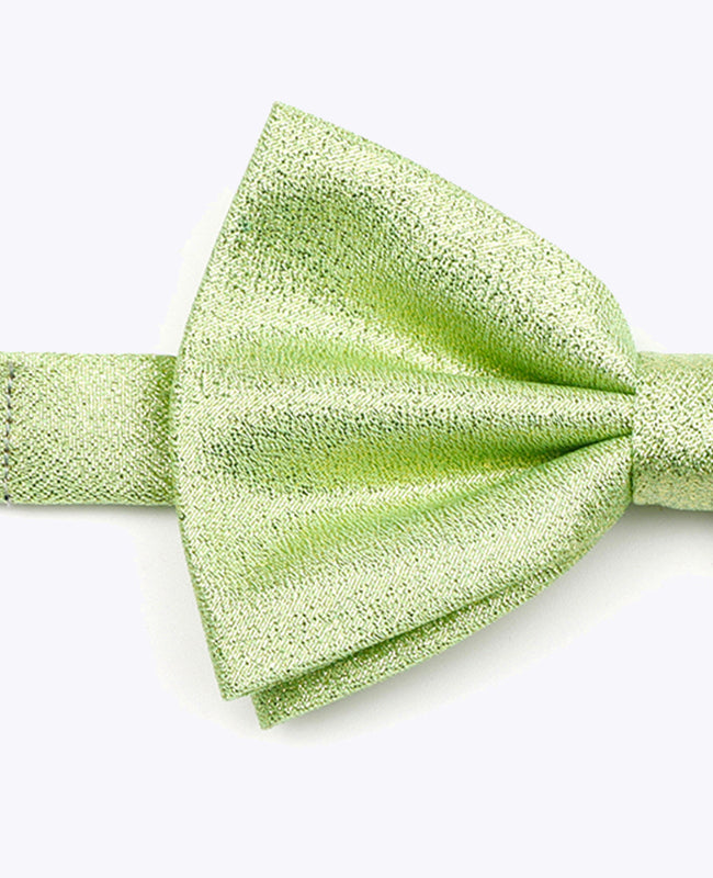Butterfly med Grøn Pailletter nr. 2 Herre i Polyester | Isidore - Unipap's