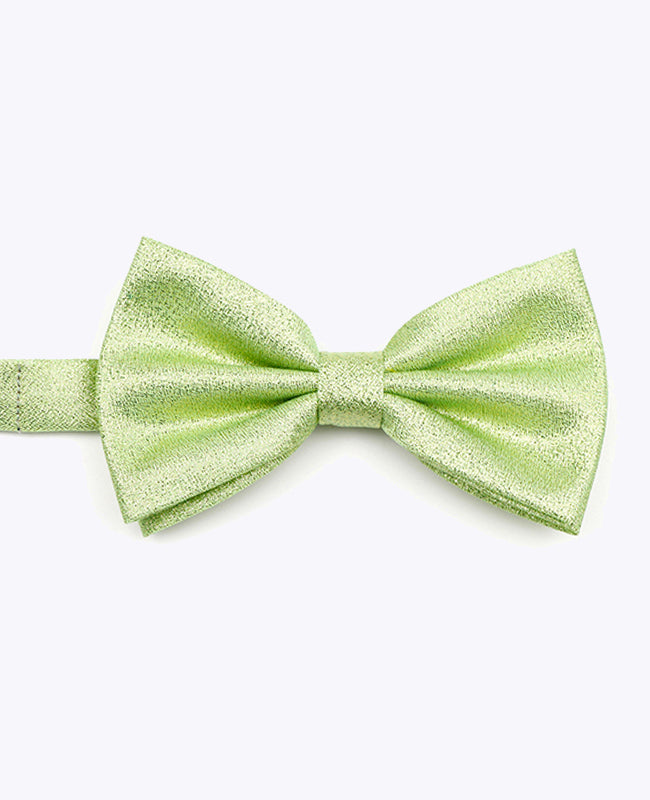 Butterfly med Pailletter Grøn nr. 2 Herre i Polyester | Isidore - Unipap's