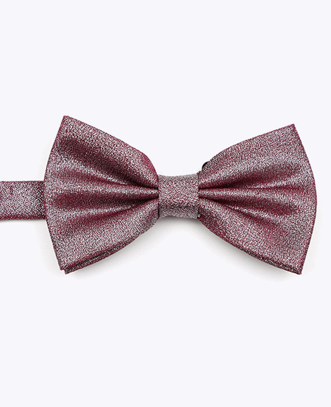 Noeud Papillon à Paillette Violet n°3 Homme en Polyester | Isidore - Unipap's