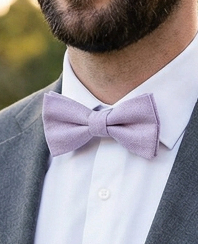 Noeud Papillon Violet Homme en Coton «Edgard»