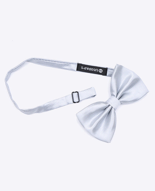 Noeud Papillon Gris n°1 Homme en Polyester | Martin - Unipap's