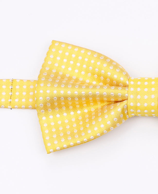 Noeud Papillon Jaune n°1 à Pois Homme en Polyester | Louis - Unipap's