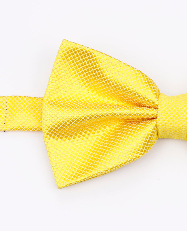 Noeud Papillon Jaune Homme en Polyester | Martin - Unipap's
