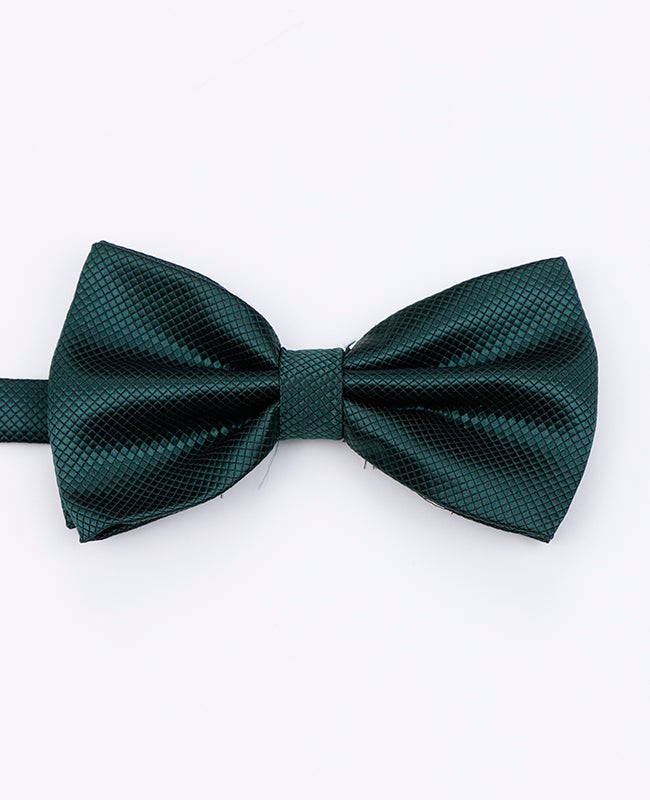 Noeud Papillon Vert n°2 Homme en Polyester | Martin - Unipap's
