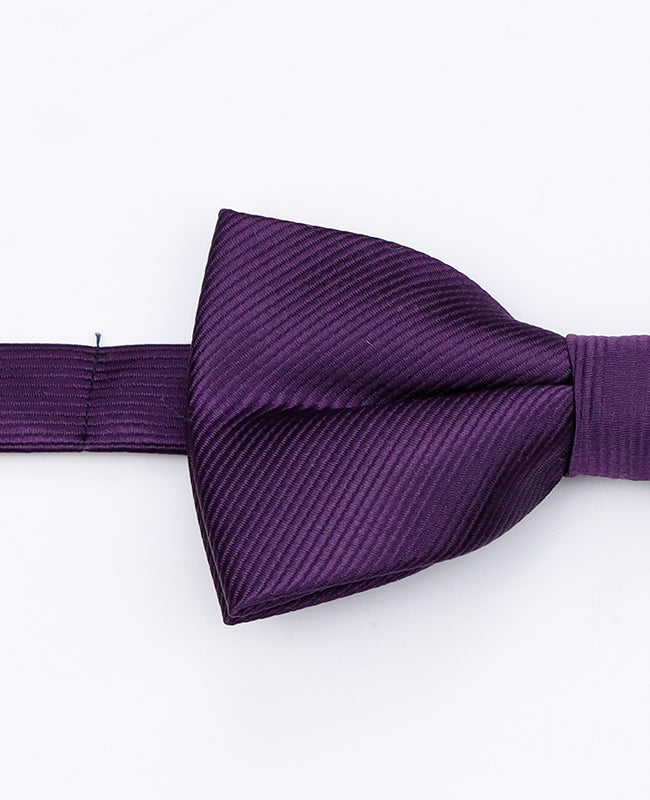 Noeud Papillon Violet n°2 Homme en Polyester | Lucien - Unipap's