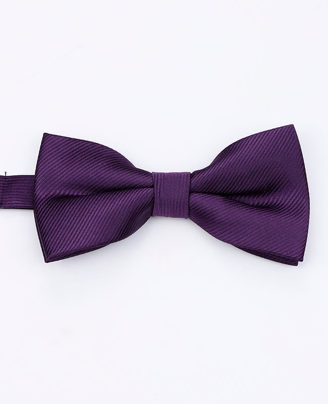 Noeud Papillon Violet n°2 Homme en Polyester | Lucien - Unipap's