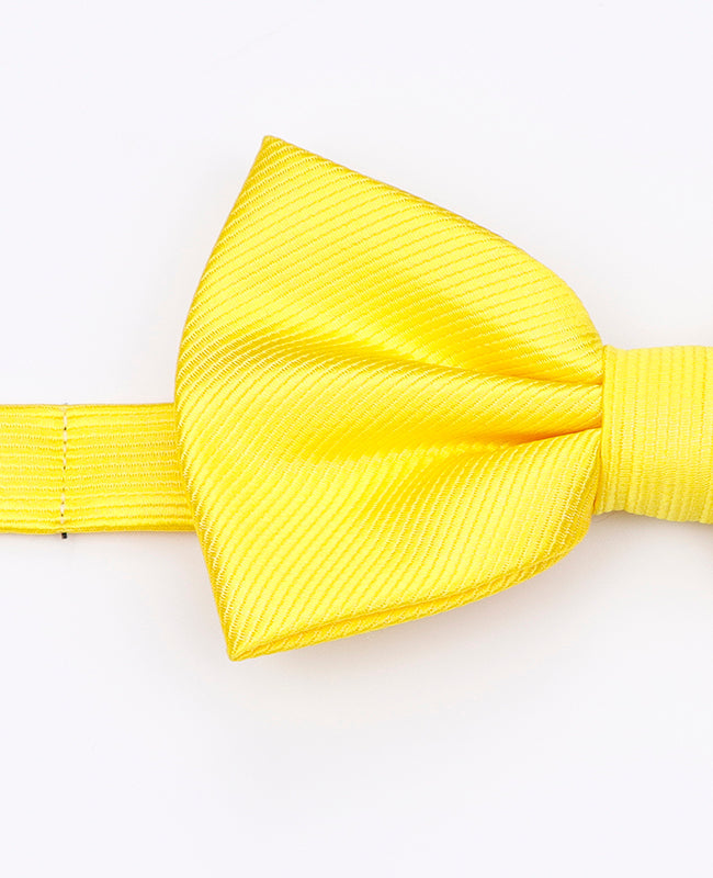 Noeud Papillon XL Jaune n°1 Homme en Polyester | Lucien - Unipap's